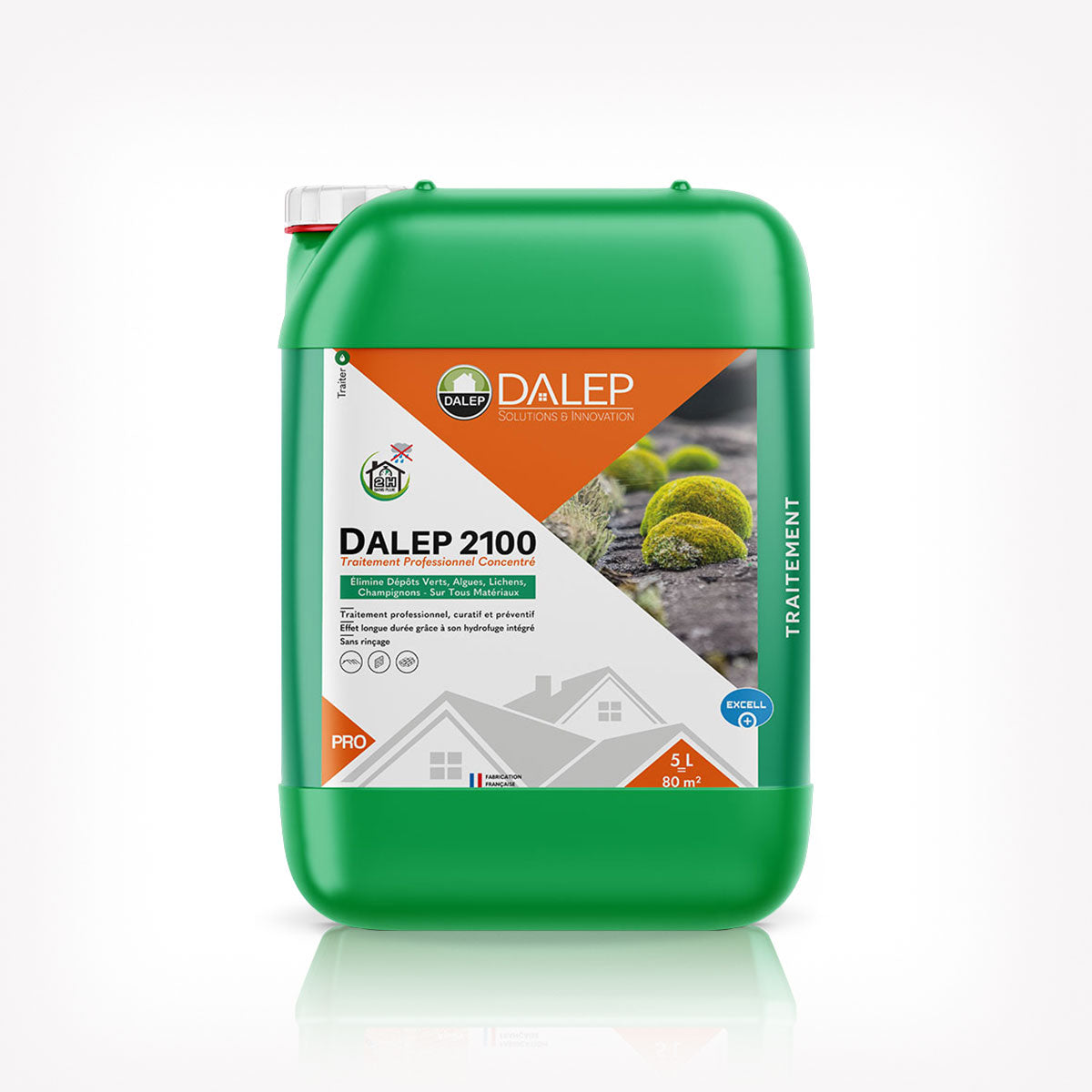 DALEP 2100 Traitement Professionnel Concentré