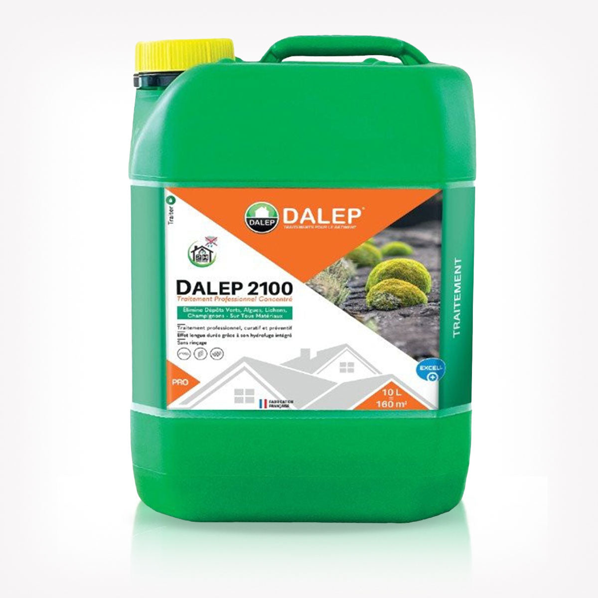 DALEP 2100 Traitement Professionnel Concentré